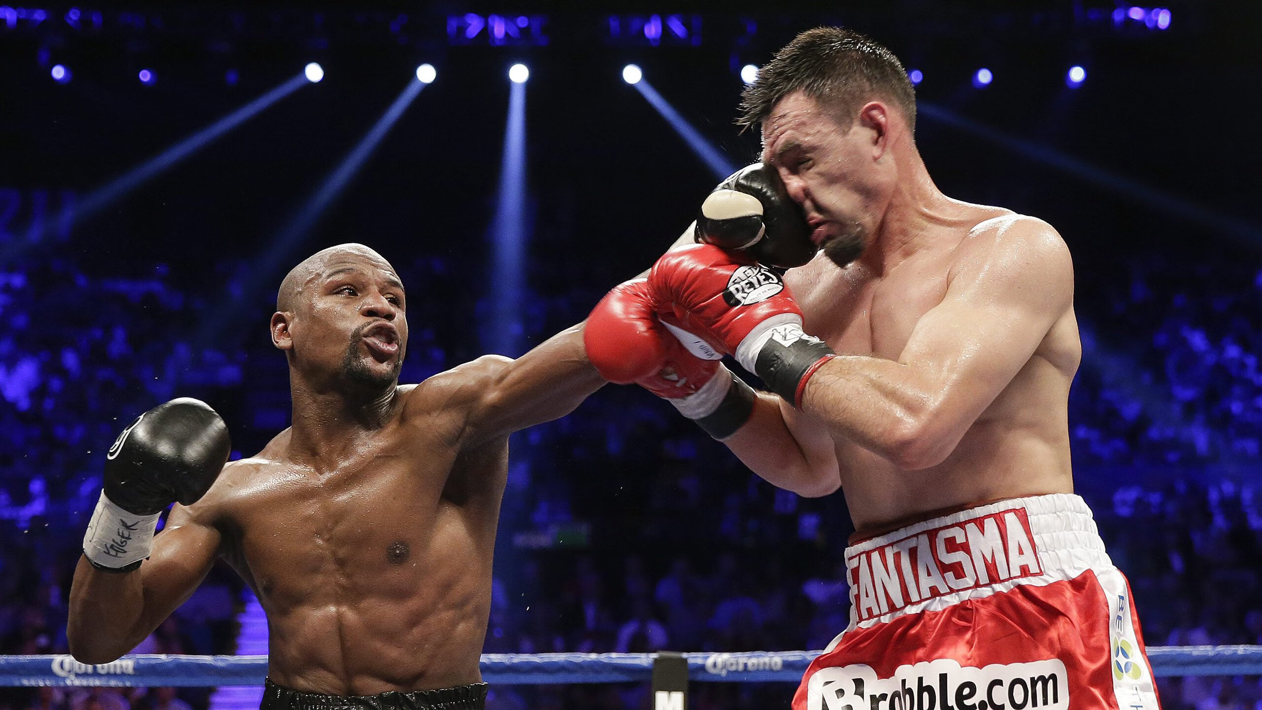 APEX英雄 新星选手表现出色,apex2021新英雄