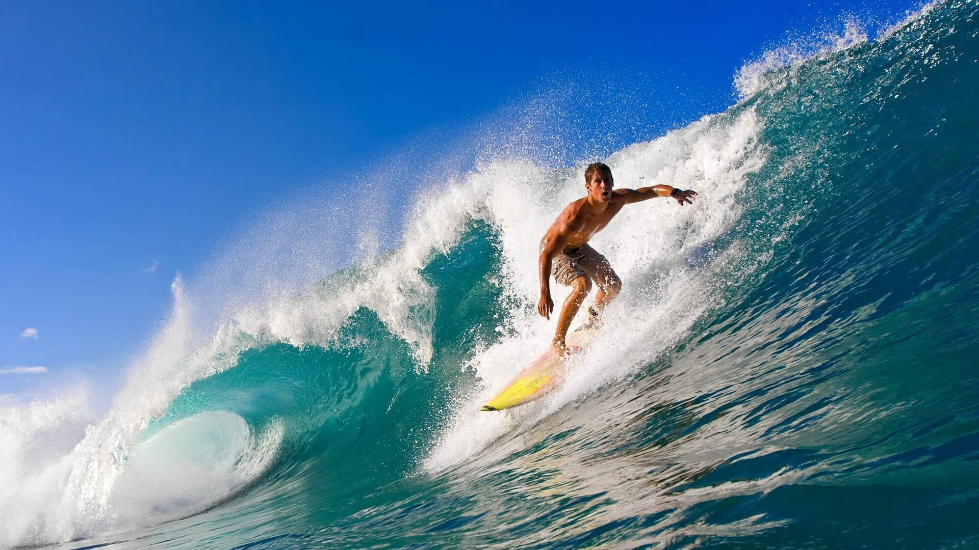 2024年度中菲友谊日体育节隆重开幕，中菲论坛时间