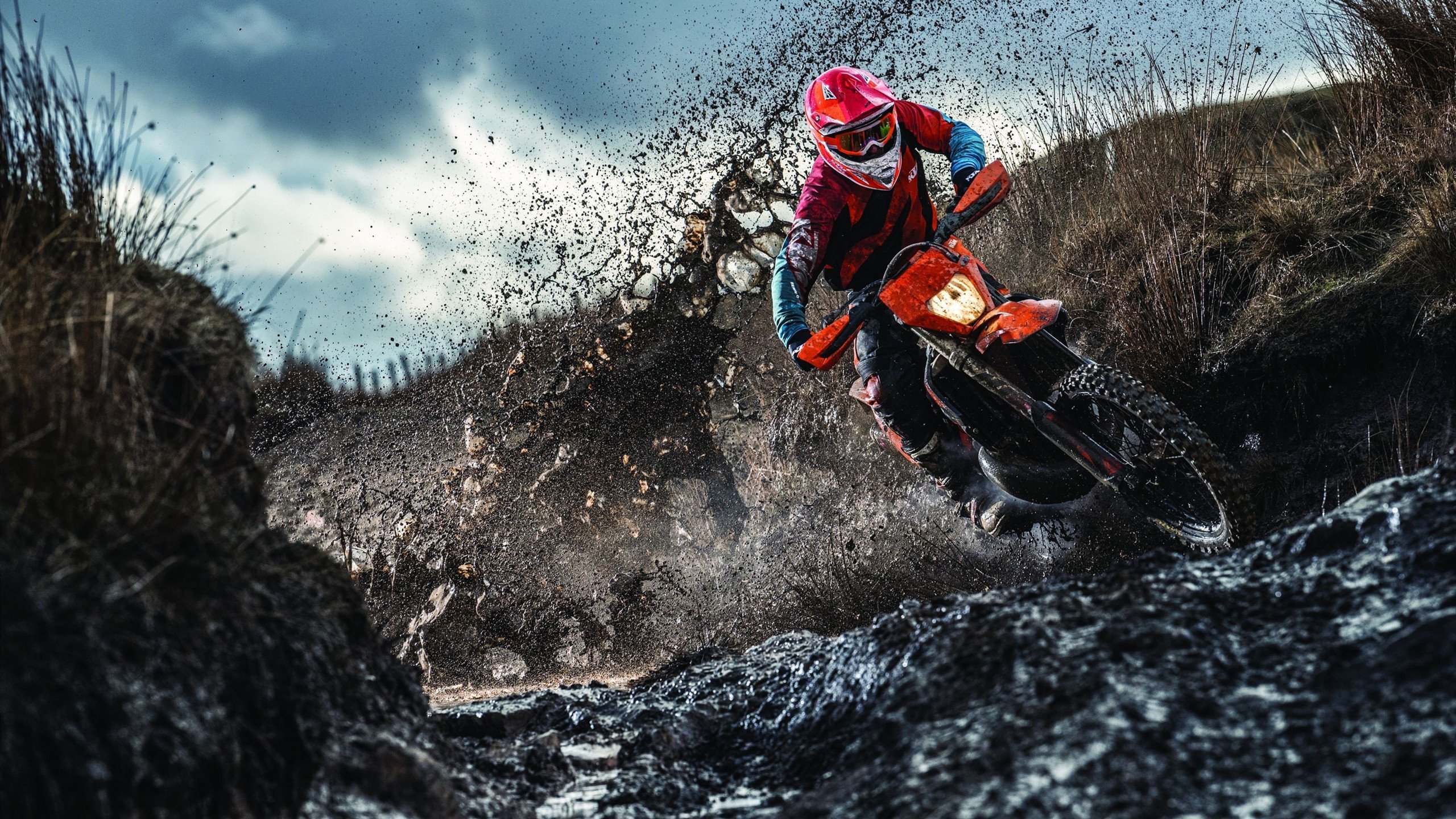 AYX体育-“德甲争冠势头强劲，领头羊全力以赴”，德甲争四